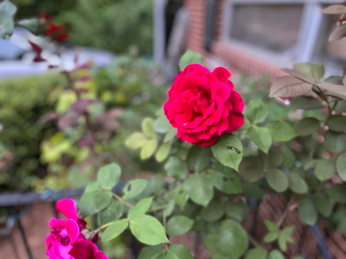 For the mom who feels&nbsp;unseen